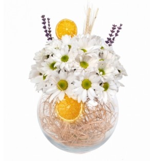 Cam Fanusta Papatyalar