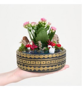 Ring Saksıda Pembe Kalanchoe Teraryum