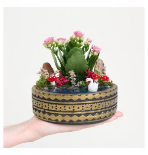 Ring Saksıda Pembe Kalanchoe Teraryum