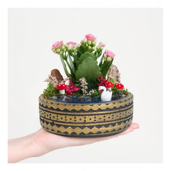 Ring Saksıda Pembe Kalanchoe Teraryum