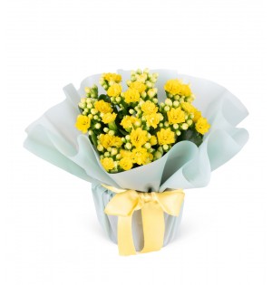 Sarı Kalanchoe Çiçeği