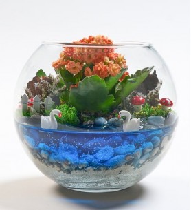 Cam Fanusta Turuncu Kalanchoe Tasarım Teraryum