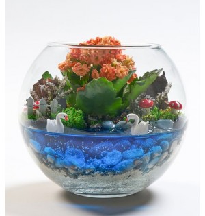 Cam Fanusta Turuncu Kalanchoe Tasarım Teraryum