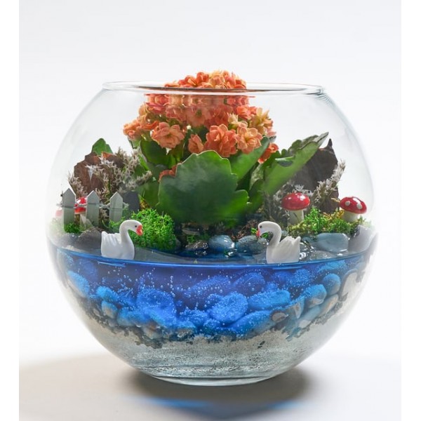 Cam Fanusta Turuncu Kalanchoe Tasarım Teraryum