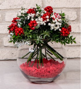 Akvaryum Vazoda Kokina