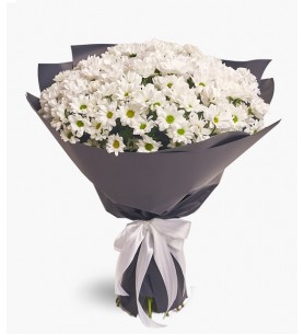 Büyük Papatya Buketi