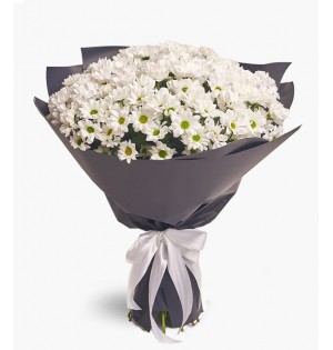 Büyük Papatya Buketi