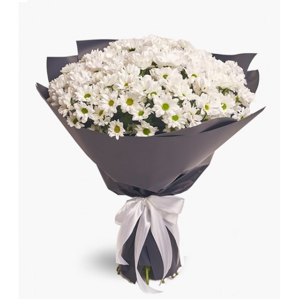 Büyük Papatya Buketi