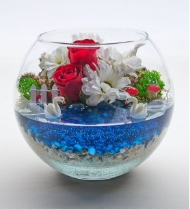 Cam Fanusta Kırmızı Gül ve Beyaz Papatya Teraryum