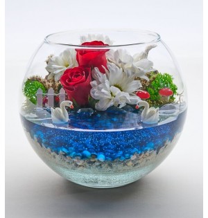 Cam Fanusta Kırmızı Gül ve Beyaz Papatya Teraryum