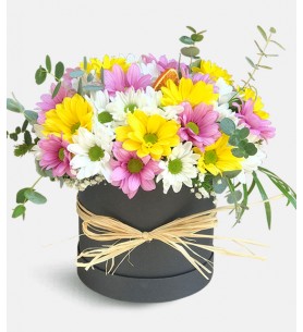 Kutuda Papatya Aranjmanı