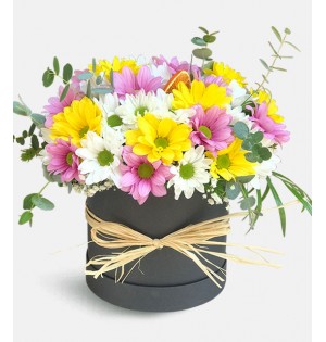 Kutuda Papatya Aranjmanı