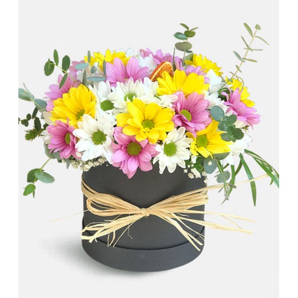 Kutuda Papatya Aranjmanı