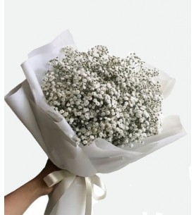 Gypsophila Buketi