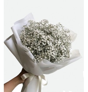 Gypsophila Buketi