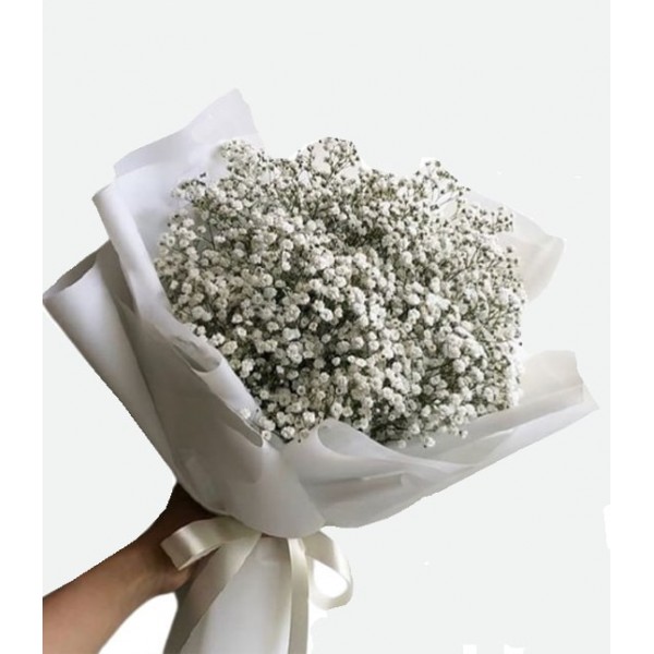 Gypsophila Buketi