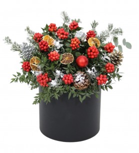 Kutuda Kokina Arajman