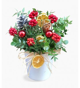 Seramik Saksıda Kokina 