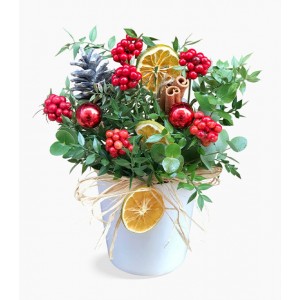 Seramik Saksıda Kokina