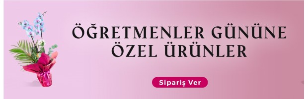 ogretmenler-gunu ogretmenler-gunu